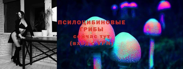 мдпв Арсеньев