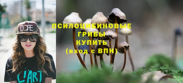 ALPHA PVP Аркадак
