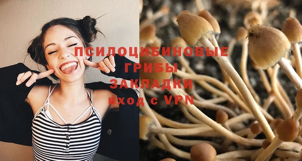 мдпв Арсеньев