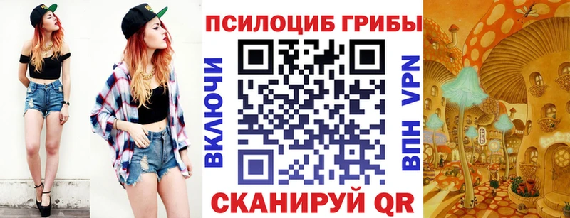 ссылка на мегу зеркало  Почеп  Галлюциногенные грибы ЛСД 