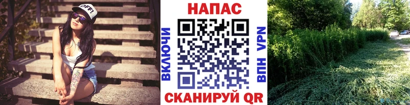 Каннабис Ganja  что такое наркотик  MEGA   Почеп 